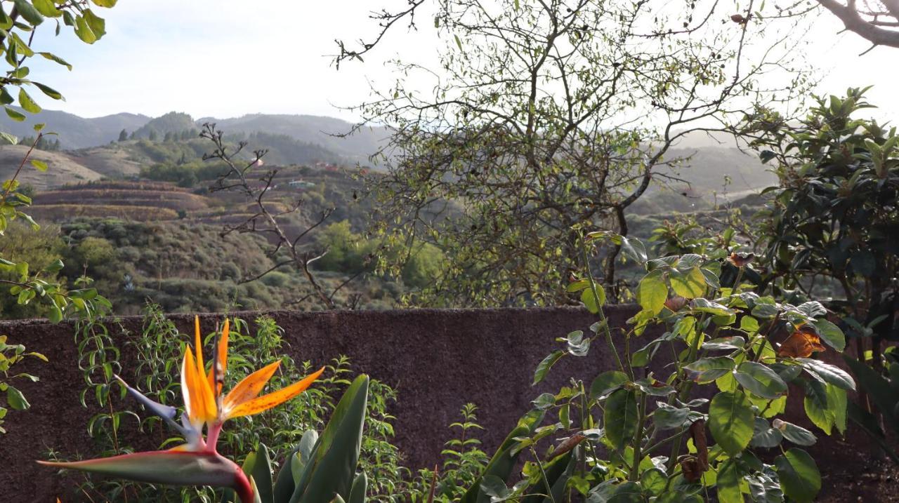 Casa Rural En San Mateo Las Palmas de Gran Canaria Extérieur photo