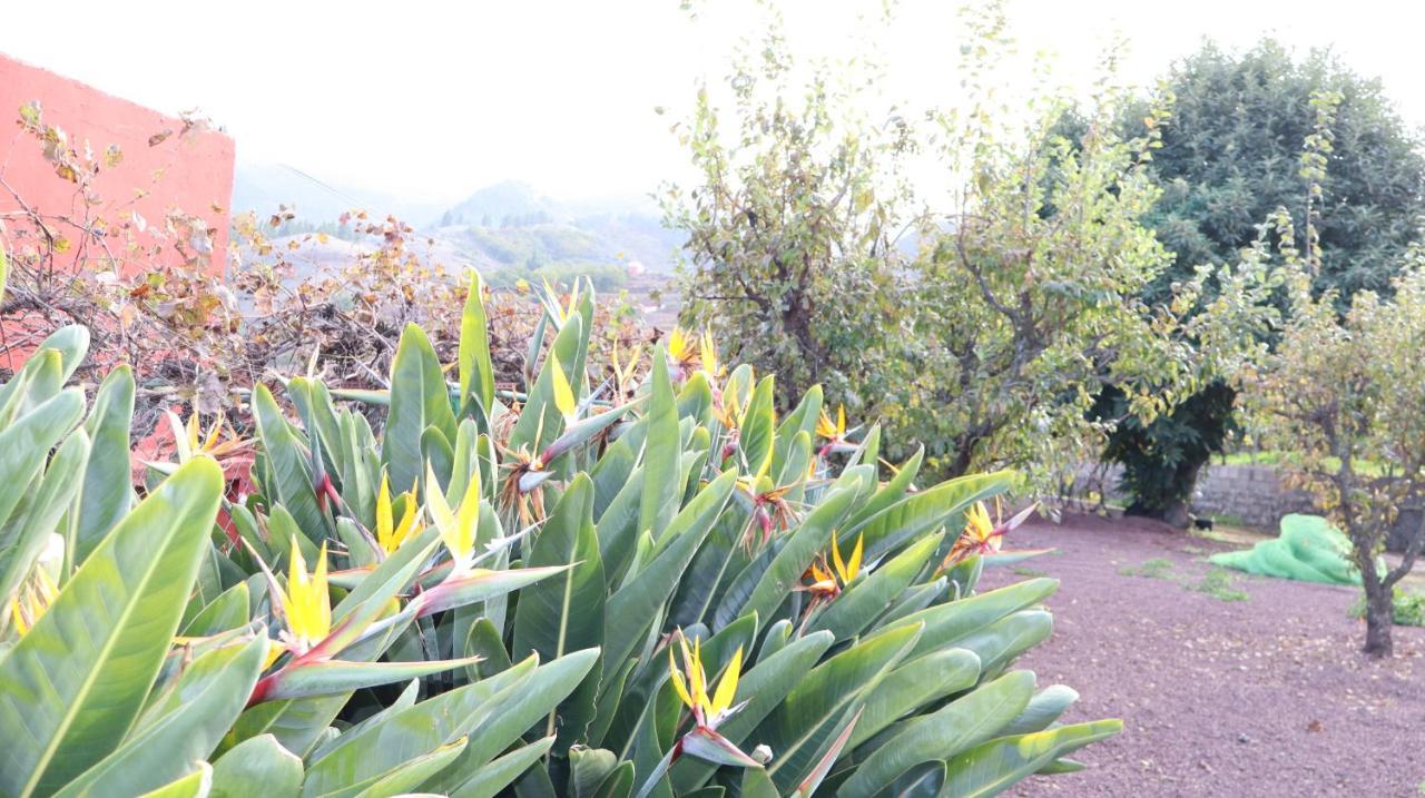 Casa Rural En San Mateo Las Palmas de Gran Canaria Extérieur photo